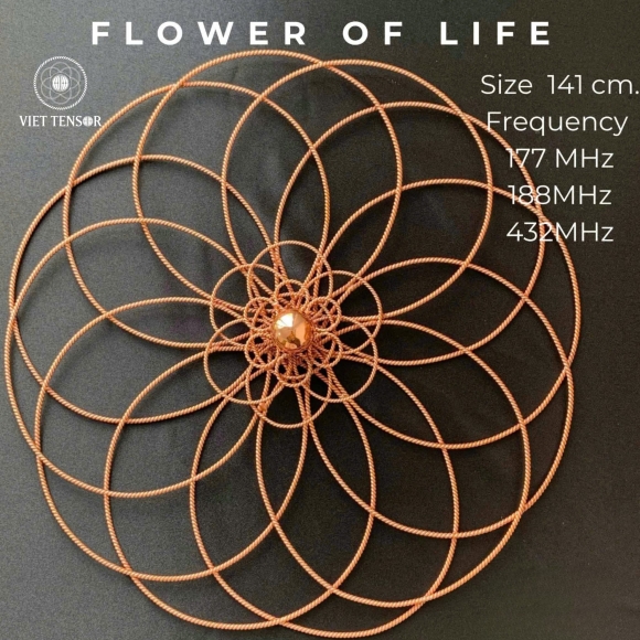 Flower of life
