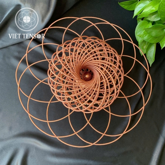 Torus incorporates the flower of life