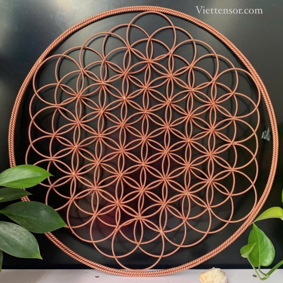 Sacred Geometry Flower of Life Tensor Copper